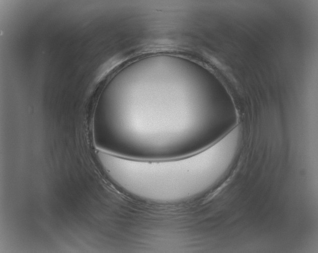 X0000068301453200604210958
