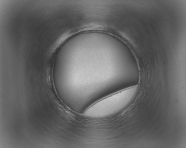 X0000068301455200604210958