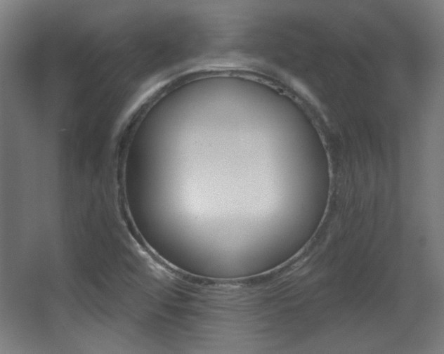 X0000068301456200604210958