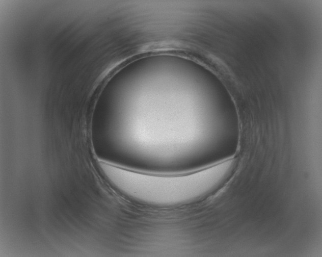 X0000068301457200604210958