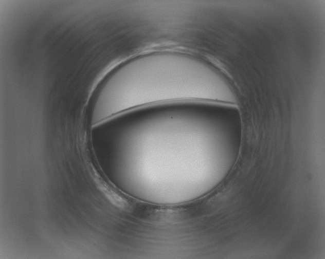 X0000068301458200604210958