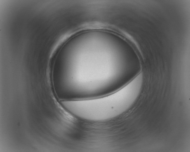 X0000068301464200604210958