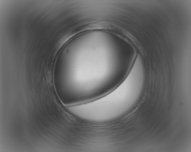 X0000068301465200604210958