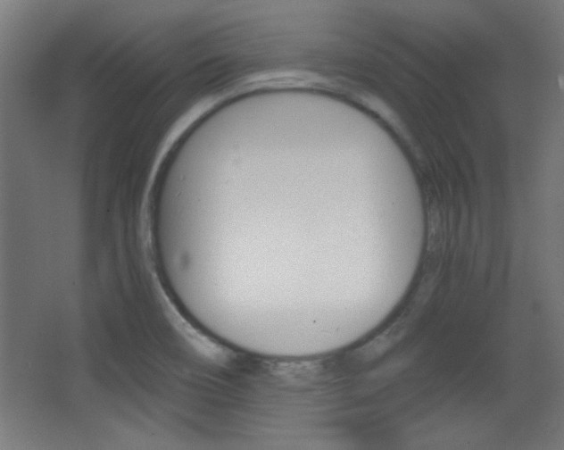 X0000068301466200604210958