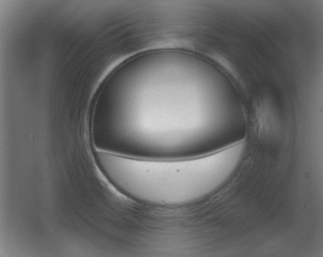 X0000068301468200604210958