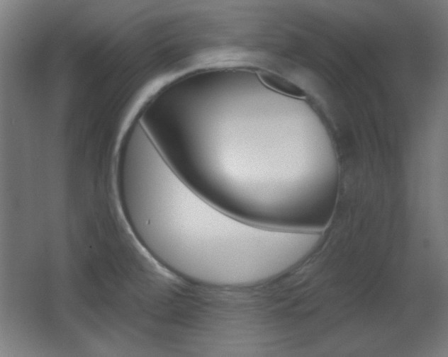 X0000068301472200604210958