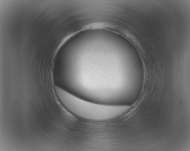 X0000068301473200604210958