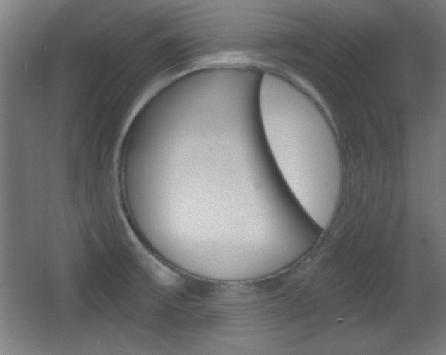 X0000068301475200604210958