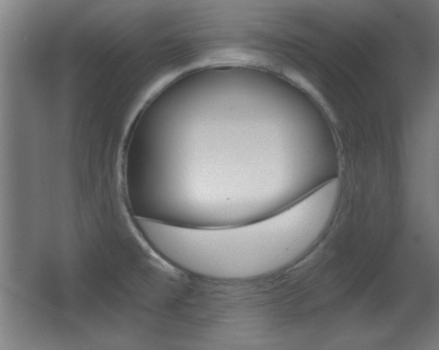 X0000068301477200604210958