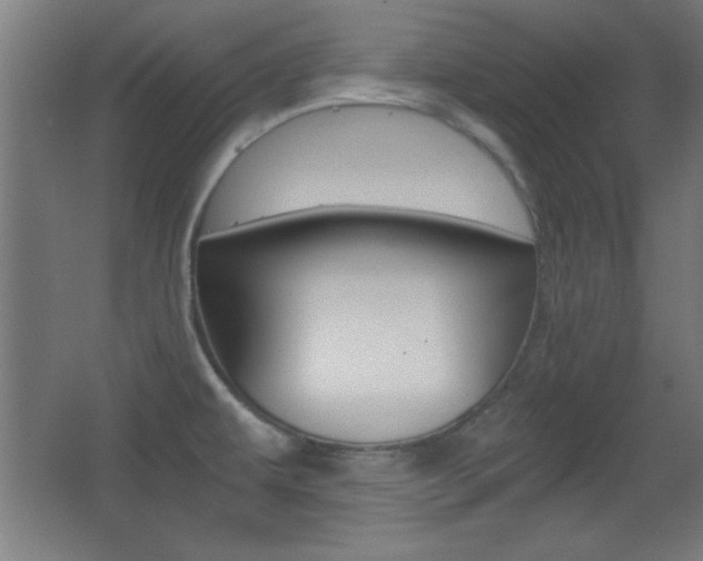 X0000068301479200604210958