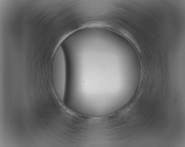 X0000068301481200604210958