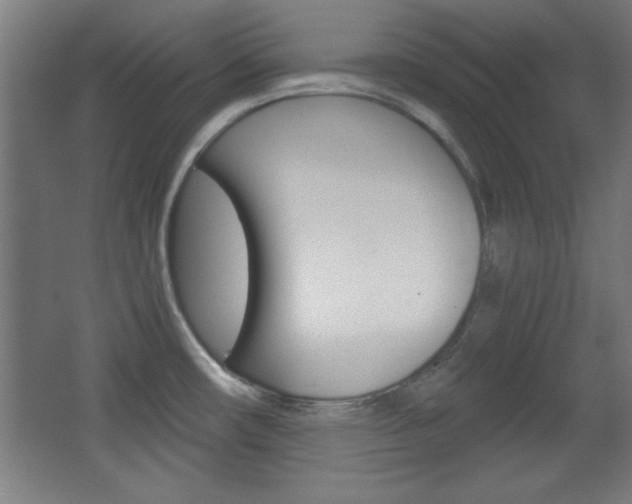X0000068301482200604210958
