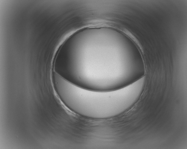 X0000068301485200604210958