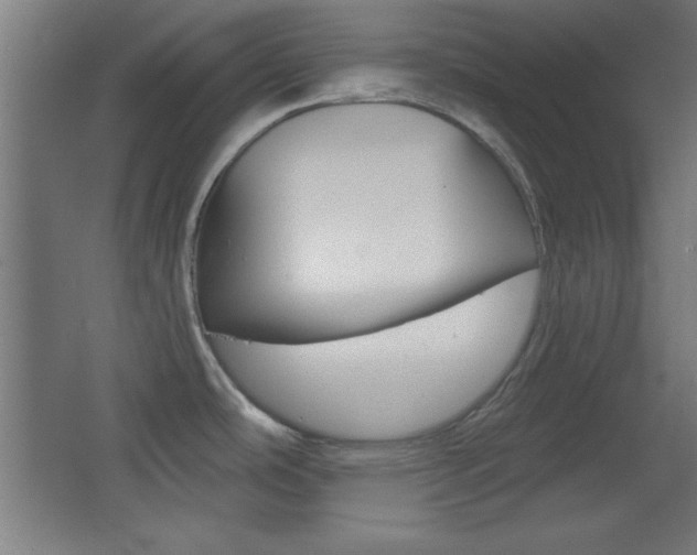 X0000068301486200604210958