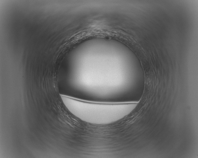 X0000068301490200604210957