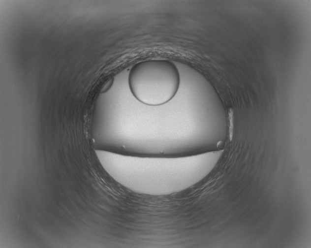 X0000068301491200604210957