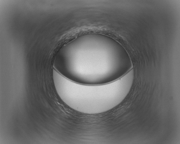 X0000068301492200604210957
