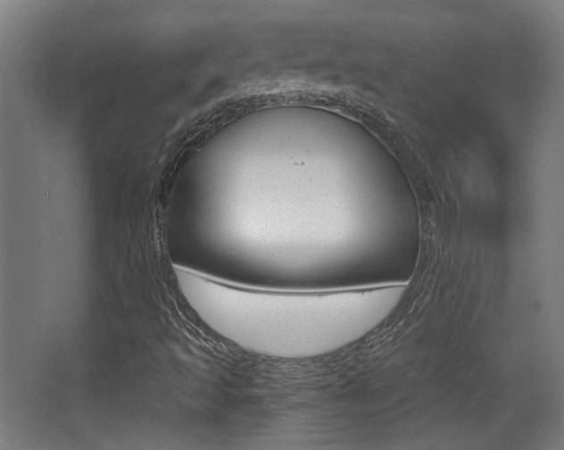 X0000068301493200604210957