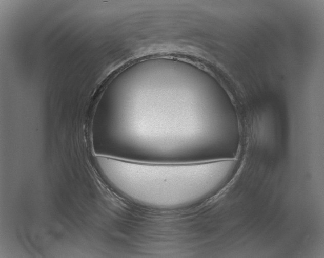 X0000068301497200604210957