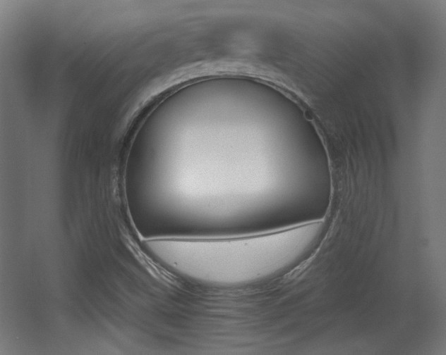 X0000068301499200604210957