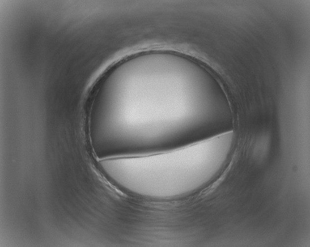 X0000068301502200604210957