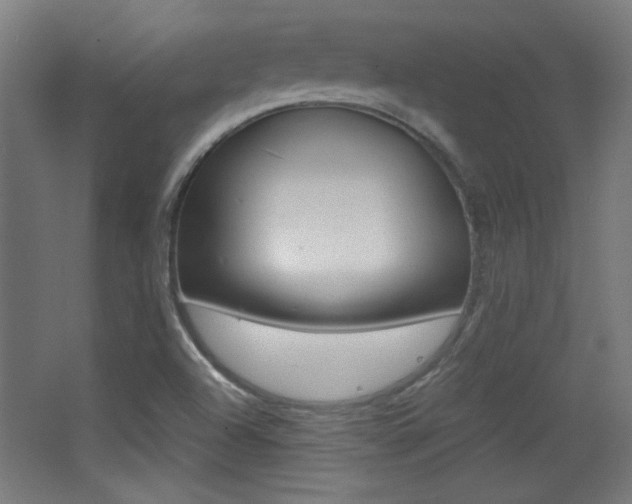 X0000068301504200604210957