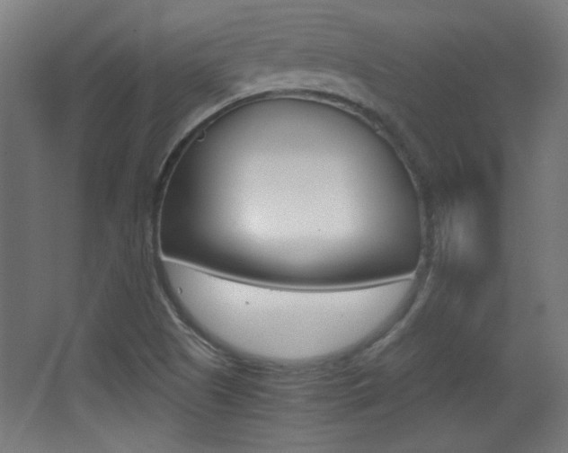 X0000068301505200604210957