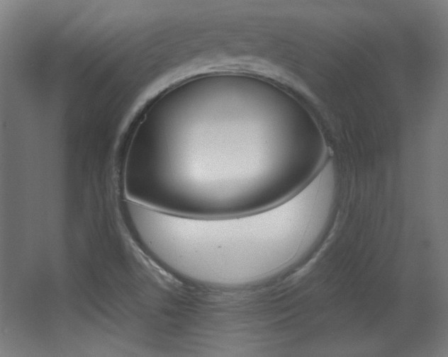 X0000068301506200604210957