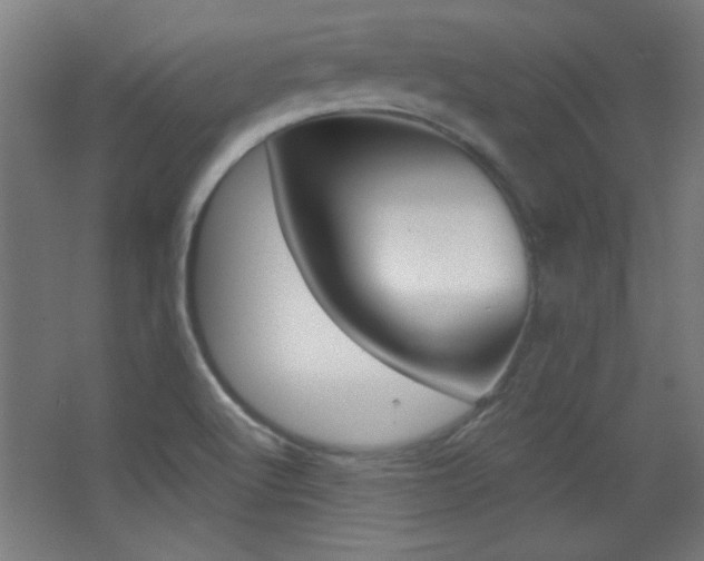 X0000068301512200604210957