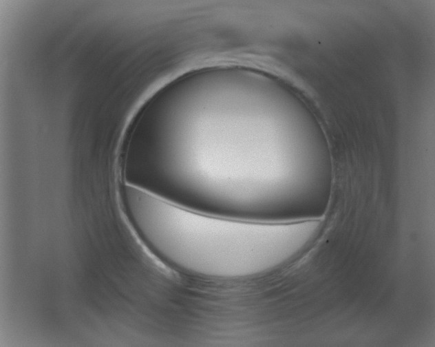 X0000068301517200604210957