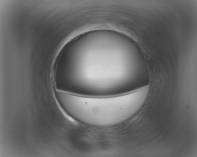 X0000068301519200604210957