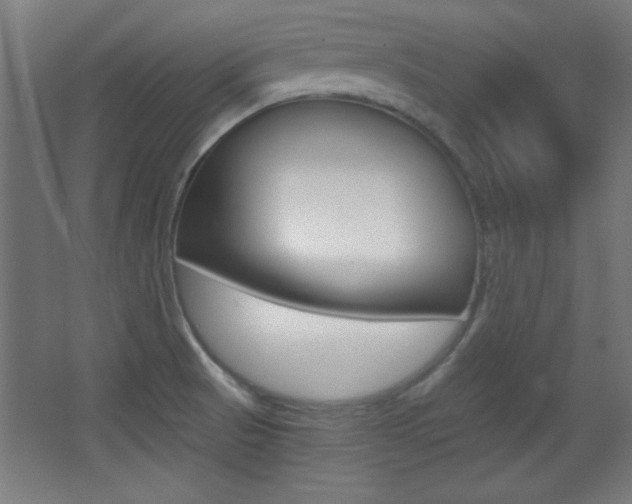 X0000068301521200604210957