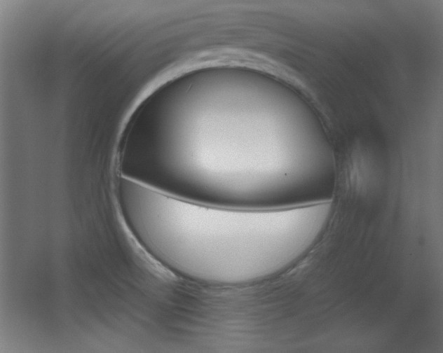 X0000068301522200604210957