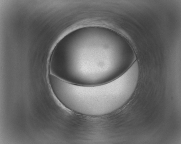 X0000068301528200604210957