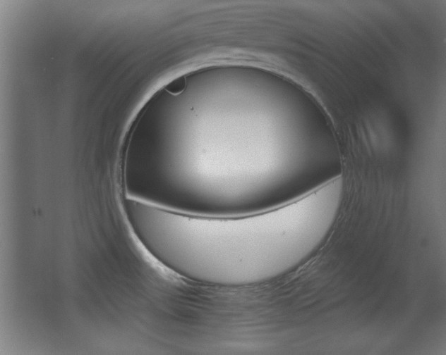 X0000068301531200604210958