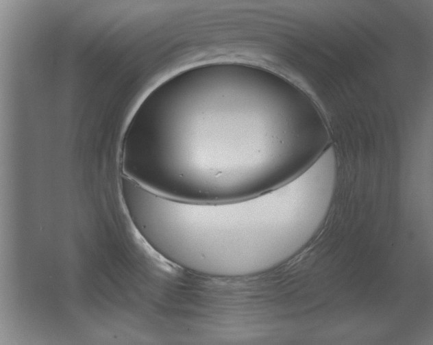 X0000068301532200604210958
