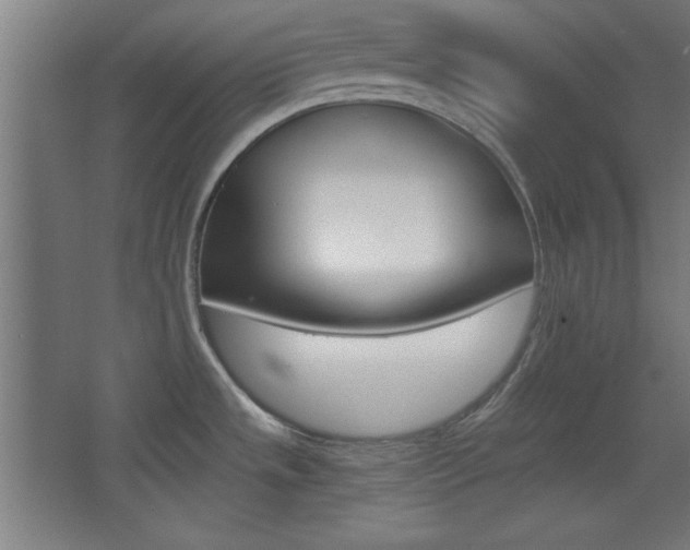 X0000068301533200604210958
