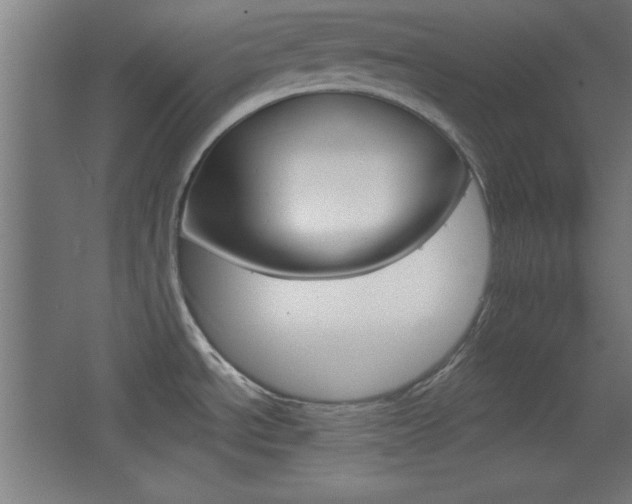 X0000068301534200604210958