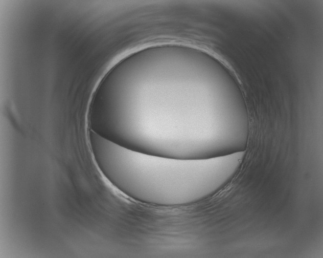 X0000068301535200604210958