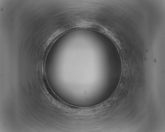X0000068300011200604211150