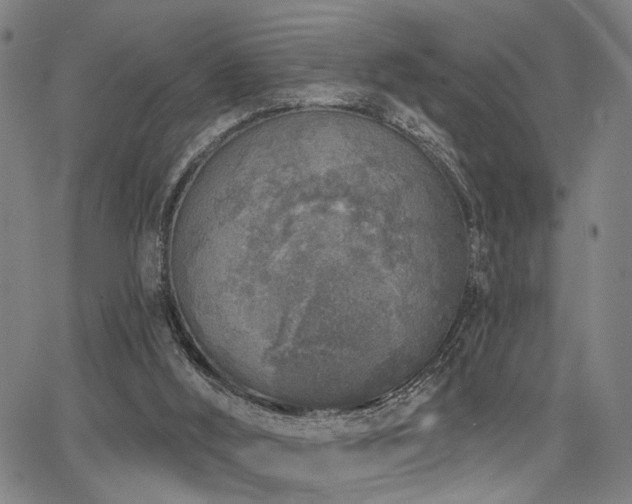 X0000068300012200604211150