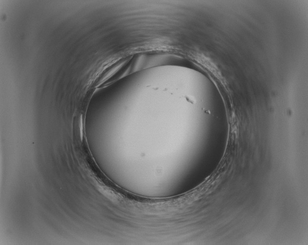 X0000068300013200604211150