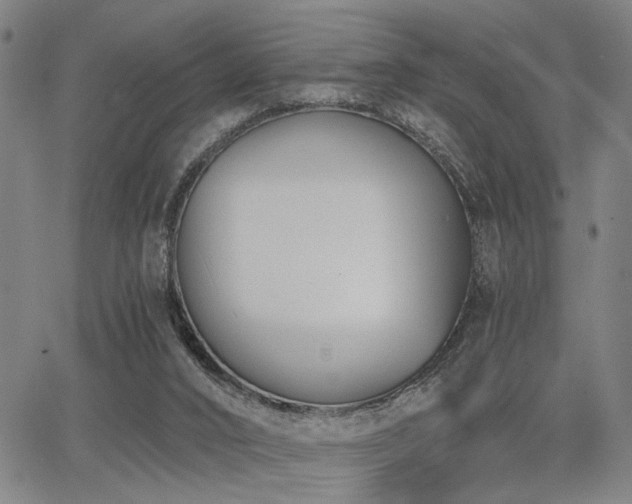 X0000068300016200604211150