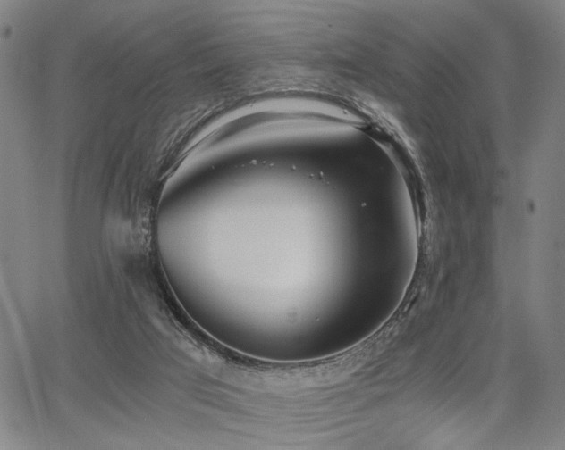 X0000068300017200604211150