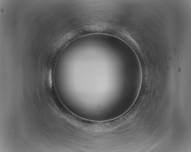 X0000068300020200604211150