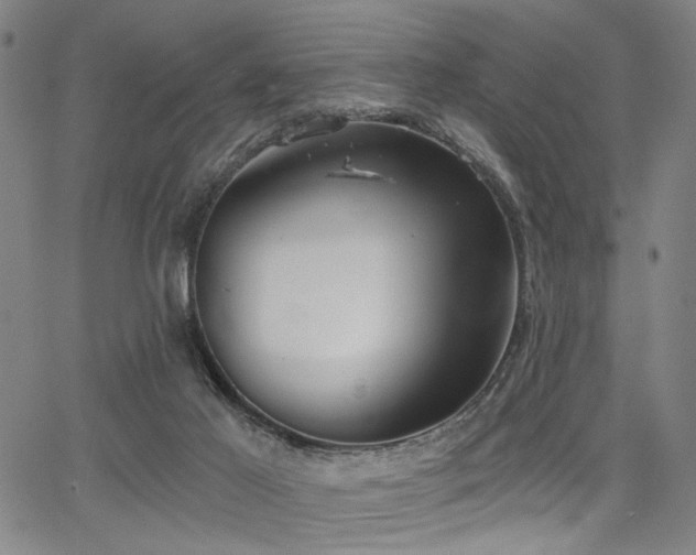 X0000068300021200604211150