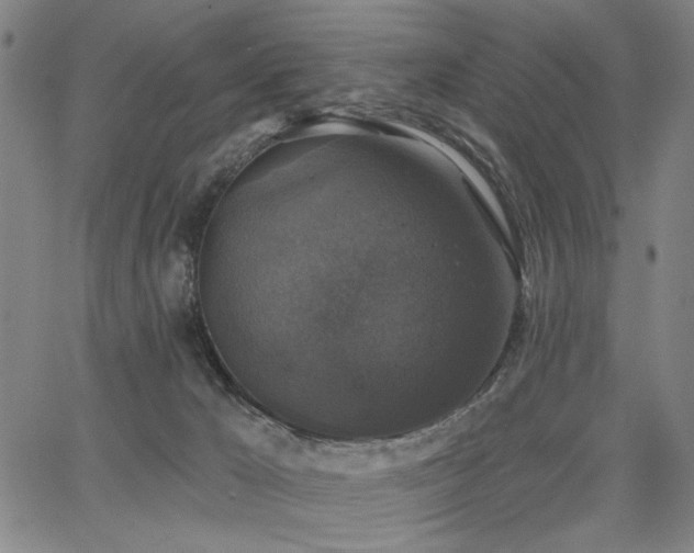 X0000068300029200604211150