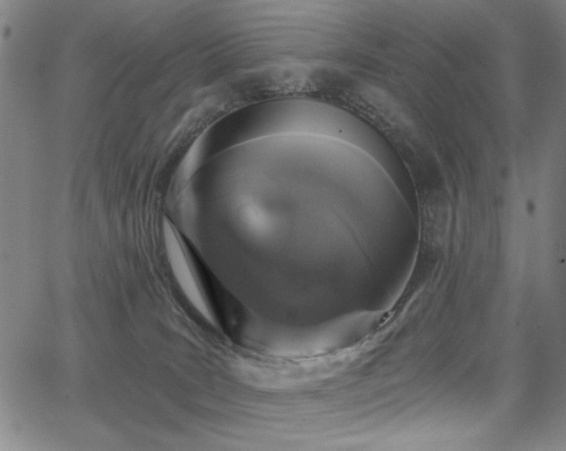 X0000068300035200604211149