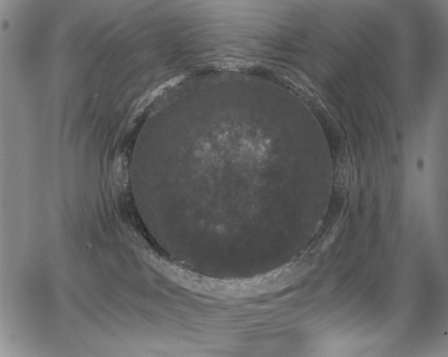 X0000068300043200604211149
