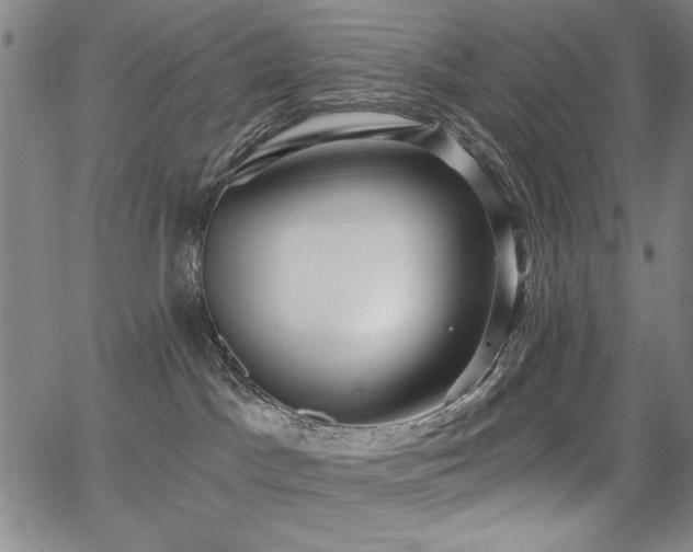 X0000068300045200604211149